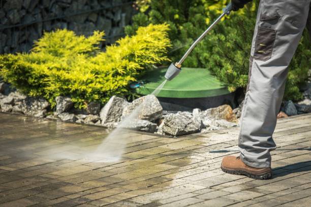 Best Residential House Exterior Washing  in Salisbury, MO